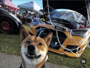 Screenshot_20251021_095622_Instagram