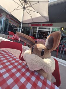 WhatsApp Image 2025-12-24 at 1.11.47 PM (2)